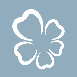 Статистика Дзен Стоматологическая клиника DENTBLANC (ДЕНТБЛАН)
