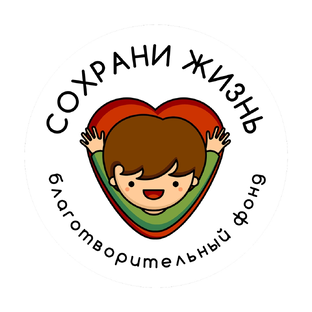 Статистика Дзен Благотворительный фонд Сохрани Жизнь