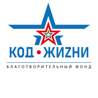 Статистика Дзен Благотворительный фонд "Код Жизни"