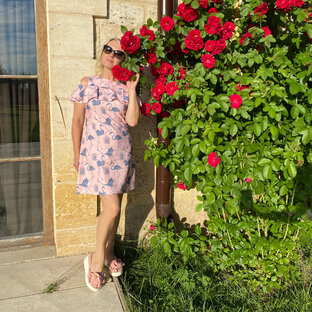 Статистика Дзен БАРХАТНЫЙ СЕЗОН🌹