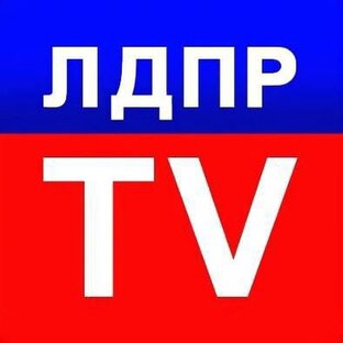 Статистика Дзен ЛДПР ТВ