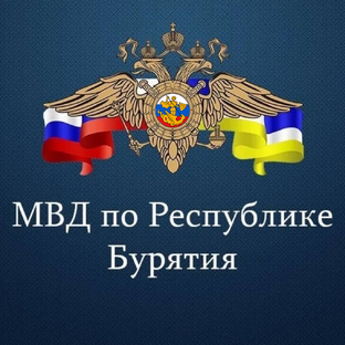 Статистика Дзен МВД по Республике Бурятия