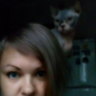 Статистика Дзен 🧶РУКОДЕЛЬНИЦА И КОТ🐈‍⬛