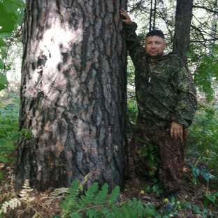 Статистика Дзен С Кузмичём 