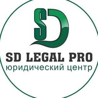 Статистика Дзен Юридическая компания «SD Legal PRO»