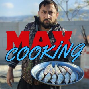 Статистика Дзен Макс Готовить