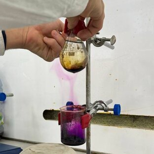 Дзен Biotech статистика