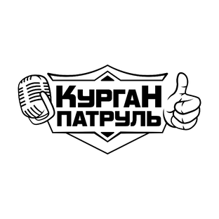 Статистика Дзен Курган Патруль 