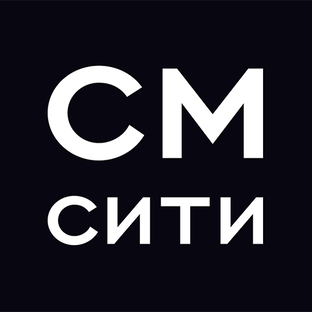 Статистика Дзен Строительная группа СМ.СИТИ