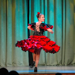 Статистика Дзен Palitra Flamenco