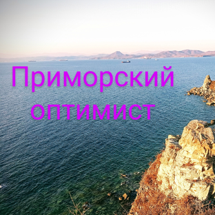 Статистика Дзен "Приморский оптимист"