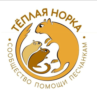 Статистика Дзен Песчанки. Теплая норка.