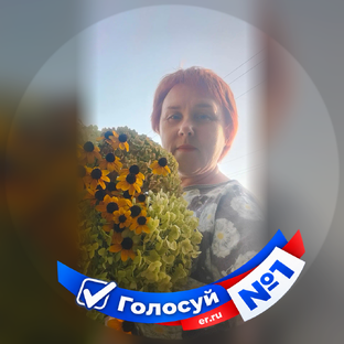 Статистика Дзен Светлана Хромова