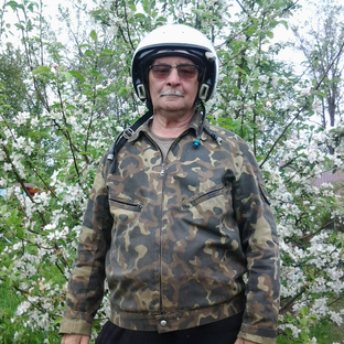 Статистика Дзен Янеж Орлой (Евгений Шварц)