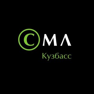 Статистика Дзен Совет молодых литераторов Кузбасса СПР