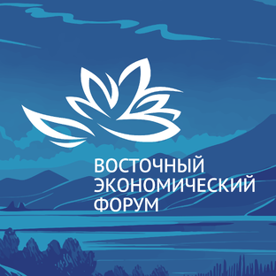 Статистика Дзен Восточный Экономический Форум | ВЭФ