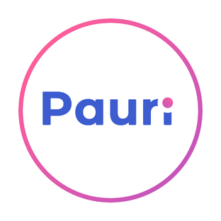 Статистика Дзен PAURI