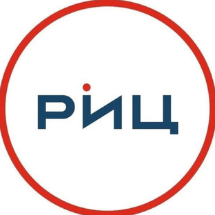 Статистика Дзен РИЦ Боровский район