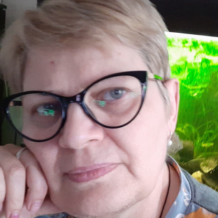 Статистика Дзен Легко и просто 