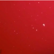 Дзен Релакс статистика