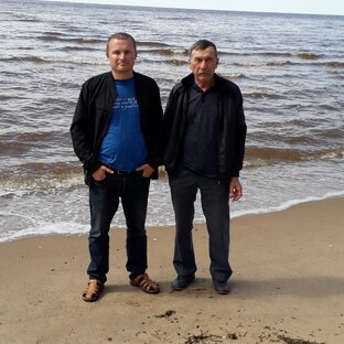 Статистика Дзен Дневник дилетанта