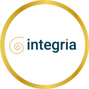 Статистика Дзен Integria Consult
