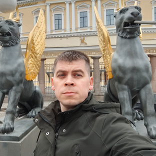 Статистика Дзен Николай Нелюбин