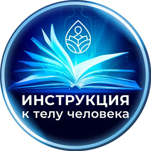 Статистика Дзен Инструкция к телу человека