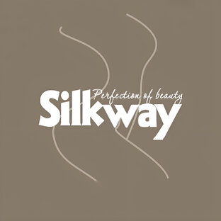 Статистика Дзен Silkway