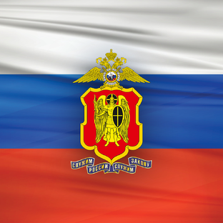 Статистика Дзен МВД по ДНР