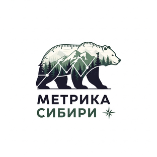 Статистика Дзен Недвижимость Новосибирск