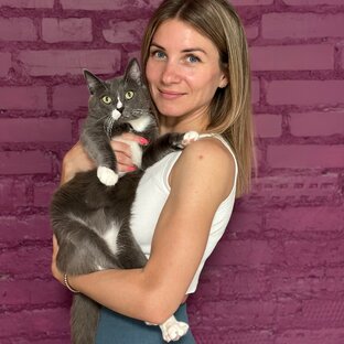 Статистика Дзен Министр всех дел