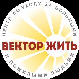 Статистика Дзен Центр по уходу за больными и пожилыми людьми «Вектор жить»