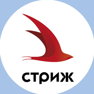 Статистика Дзен Интернет-оператор «Стриж»