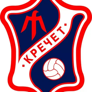 Статистика Дзен ФК "Кречет"