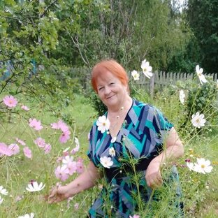 Статистика Дзен Дела житейские (Любовь Здорова)