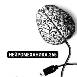 Статистика Дзен НЕЙРОМЕХАНИКА.365 школа ментального здоровья