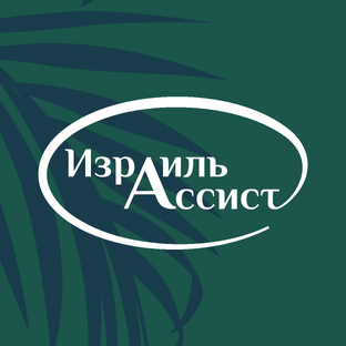 Статистика Дзен Израиль Ассист — помощь гражданам Израиля