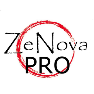 Статистика Дзен Zenova PRO CRM-агенство