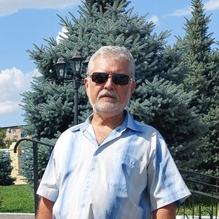 Статистика Дзен TOLIK LALAEV