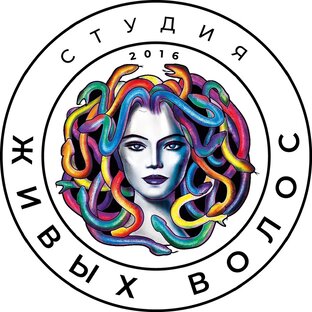 Статистика Дзен Студия живых волос VitalinaBrown