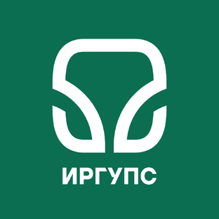 Статистика Дзен ИрГУПС