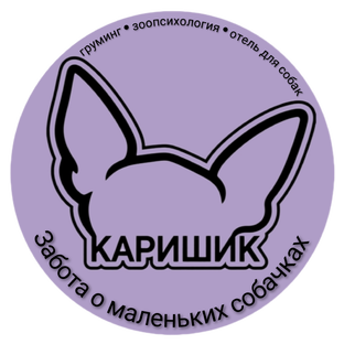 Статистика Дзен КАРИШИК
