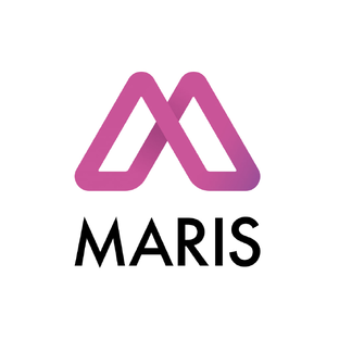 Статистика Дзен Maris