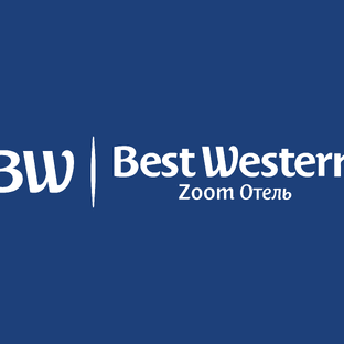 Статистика Дзен BW Zoom Отель