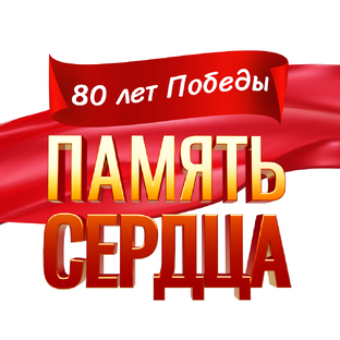 Статистика Дзен «Память сердца». 80 лет Победы