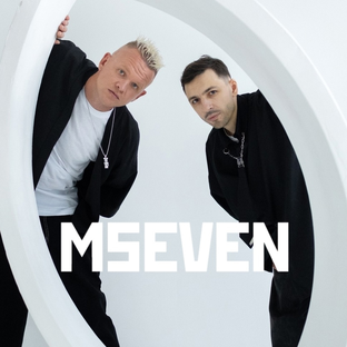 Статистика Дзен MSEVEN