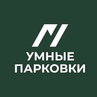 Статистика Дзен Умные Парковки 