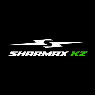 Статистика Дзен Sharmax Motors  Kazakhstan