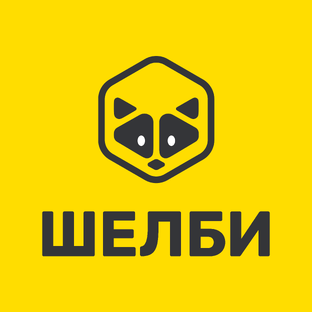 Статистика Дзен Шелби. Игровые пространства для детей